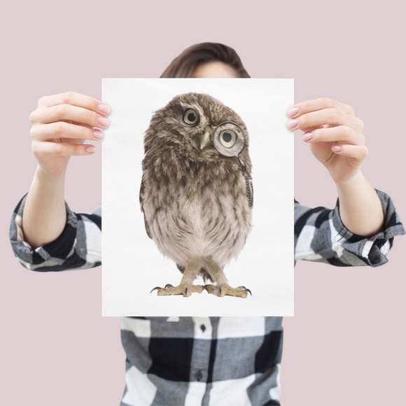 Owl Portrait Wall Art Print Poster Unframed - Picture 6 of 9
